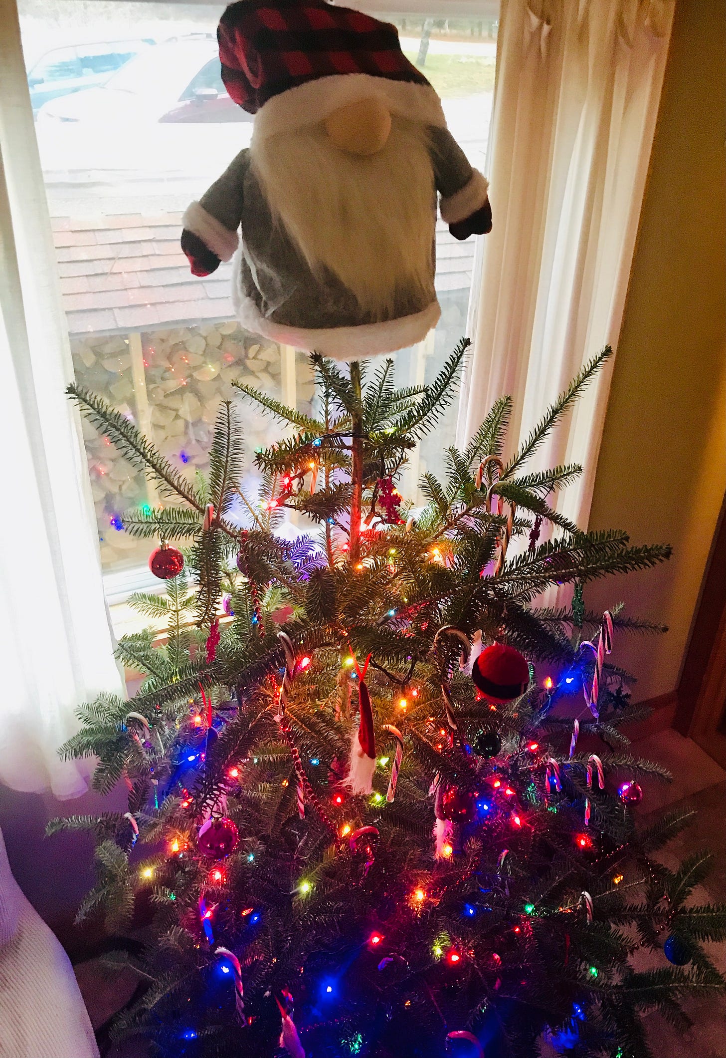 Christmas tree loaded with candycanes