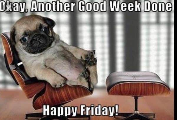 The Absolute Best Happy Friday Memes (35 and counting) - Banter