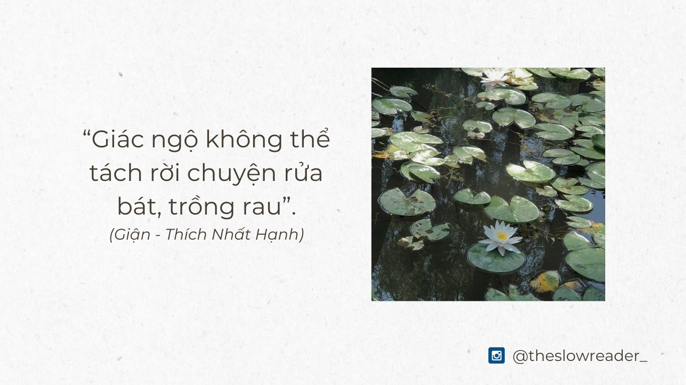 Giận Thích Nhất Hạnh 7