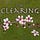 The Clearing