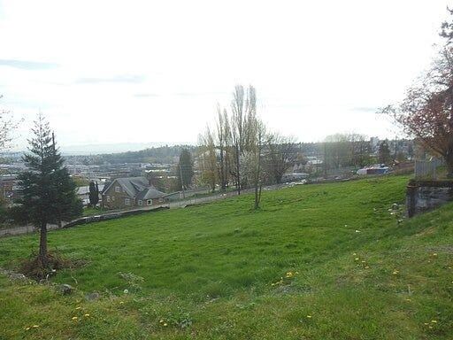 A grassy area with trees and buildings in the background

AI-generated content may be incorrect.