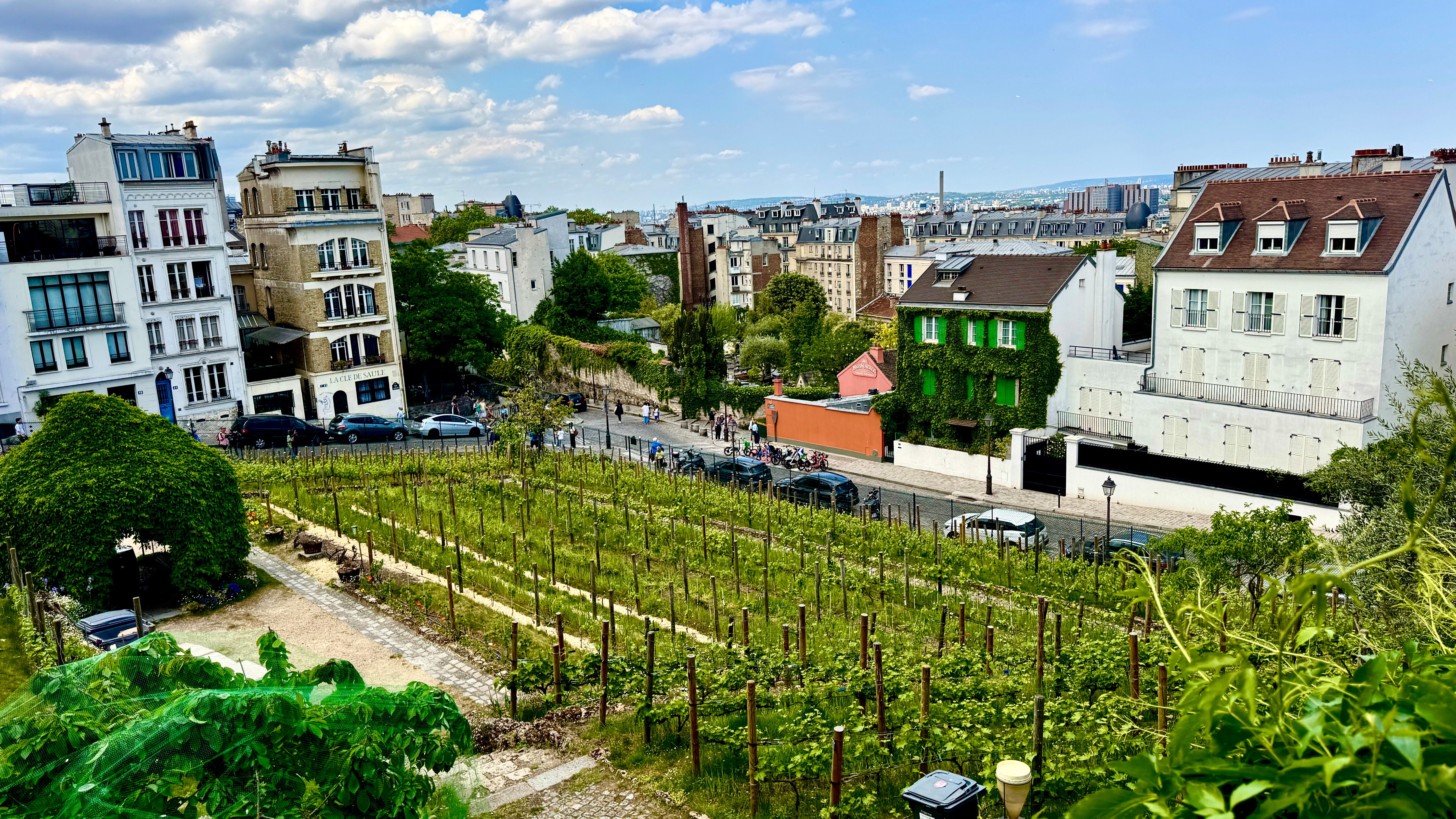 Montmartre: Notes from Paris's 'Village' - by Ruth Stroud