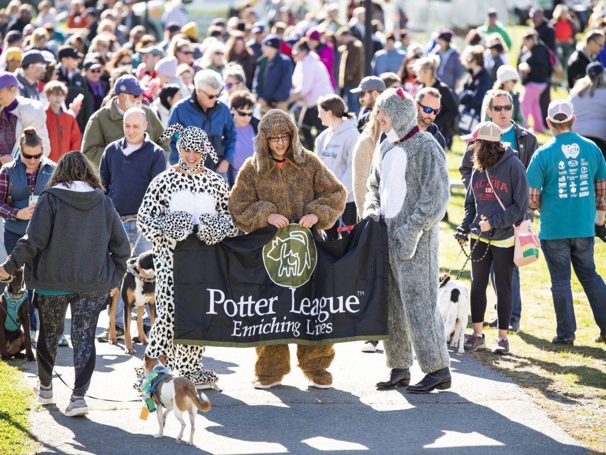 What’s Up in Newport this weekend: October 20 – 22