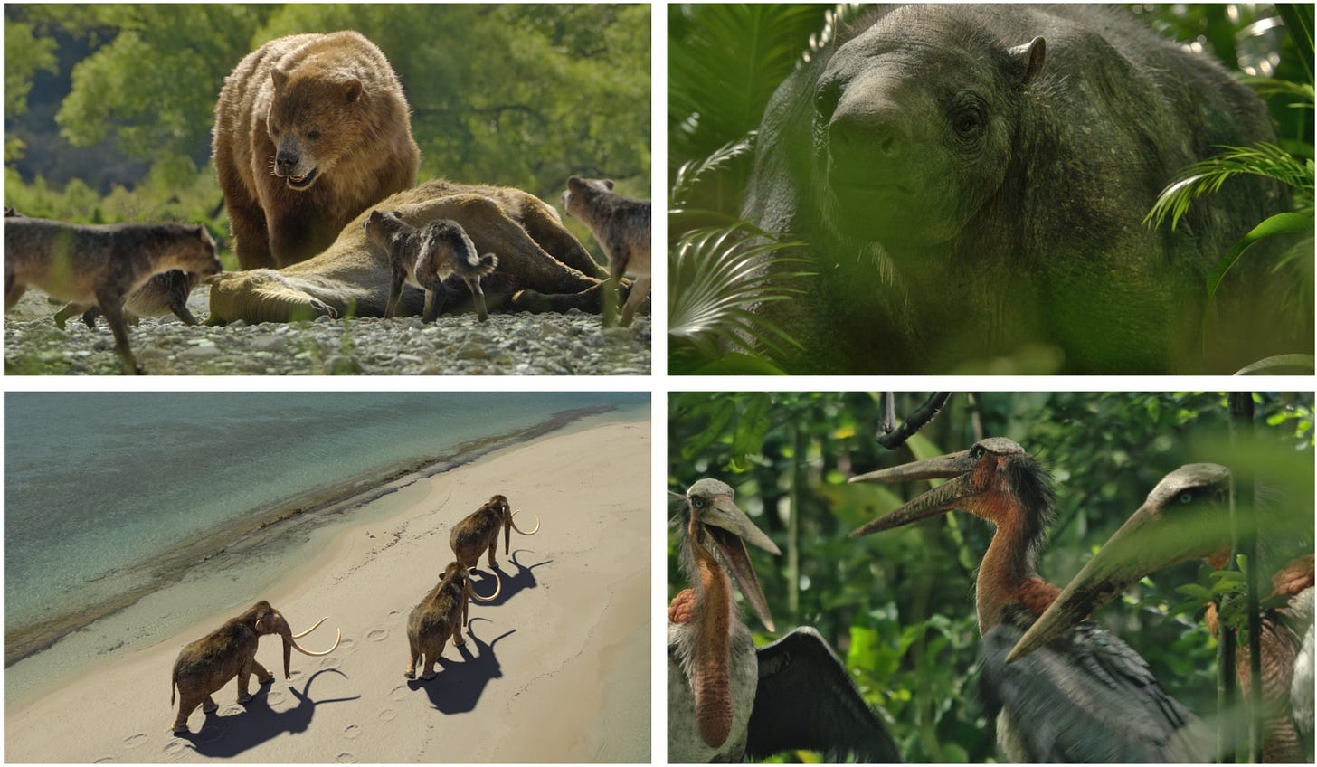 Four stills from New Lands: Arctotherium approaching a pack of Protocyon over a Macrauchenia carcass, Eremotherium proceeding through dense vegetation, a group of proboscideans moving along a coastline, and a trio of giant Leptoptilos squabbling.