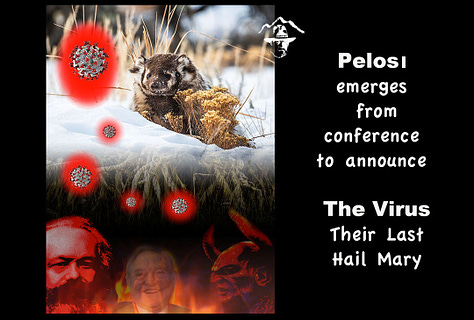 My thoughts in graphics as pandemic wore on
