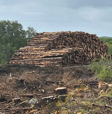 Tractor with log truck and logpile, and whisky bottle box