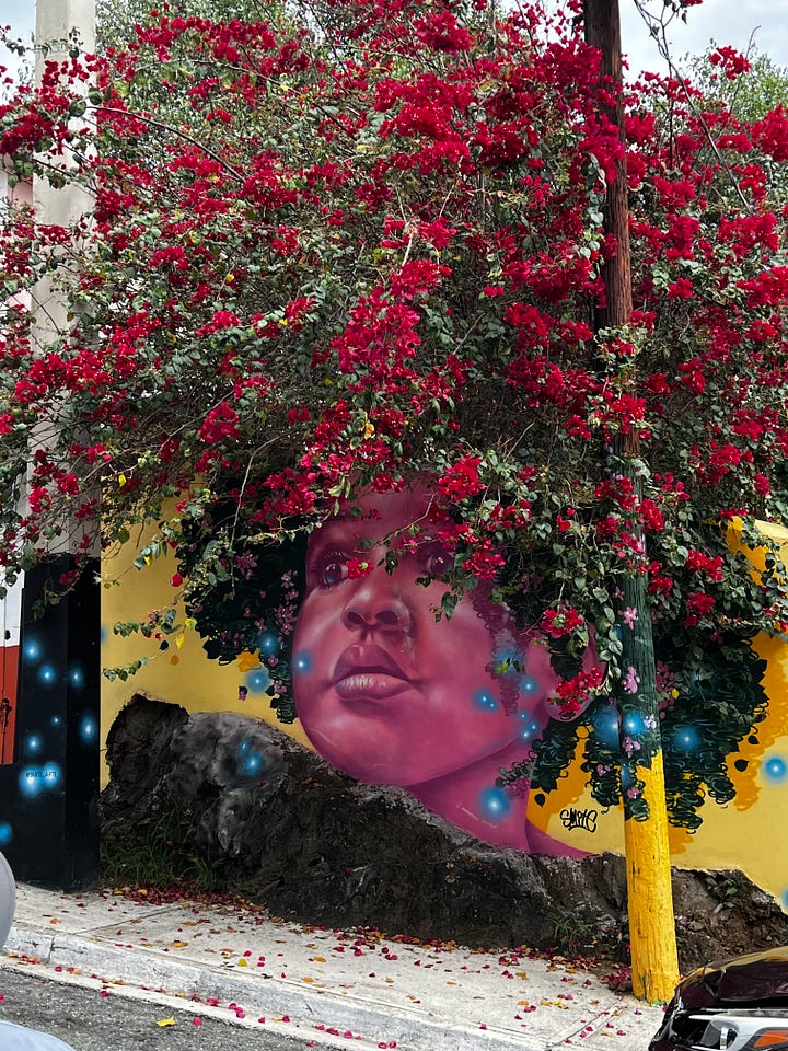 Beautiful street art at Yauco