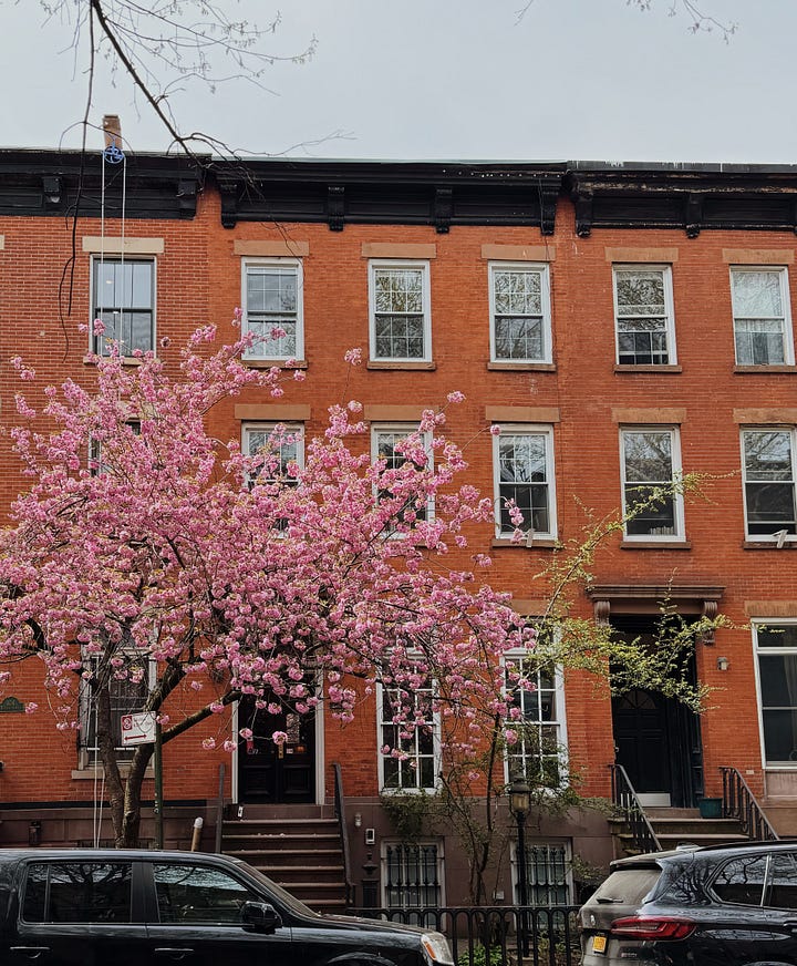 Pink flowers in blossom, a typical brooklyn building, a treee in bloom against the Brooklyn Bridge, Blue blossoms behind a gate
