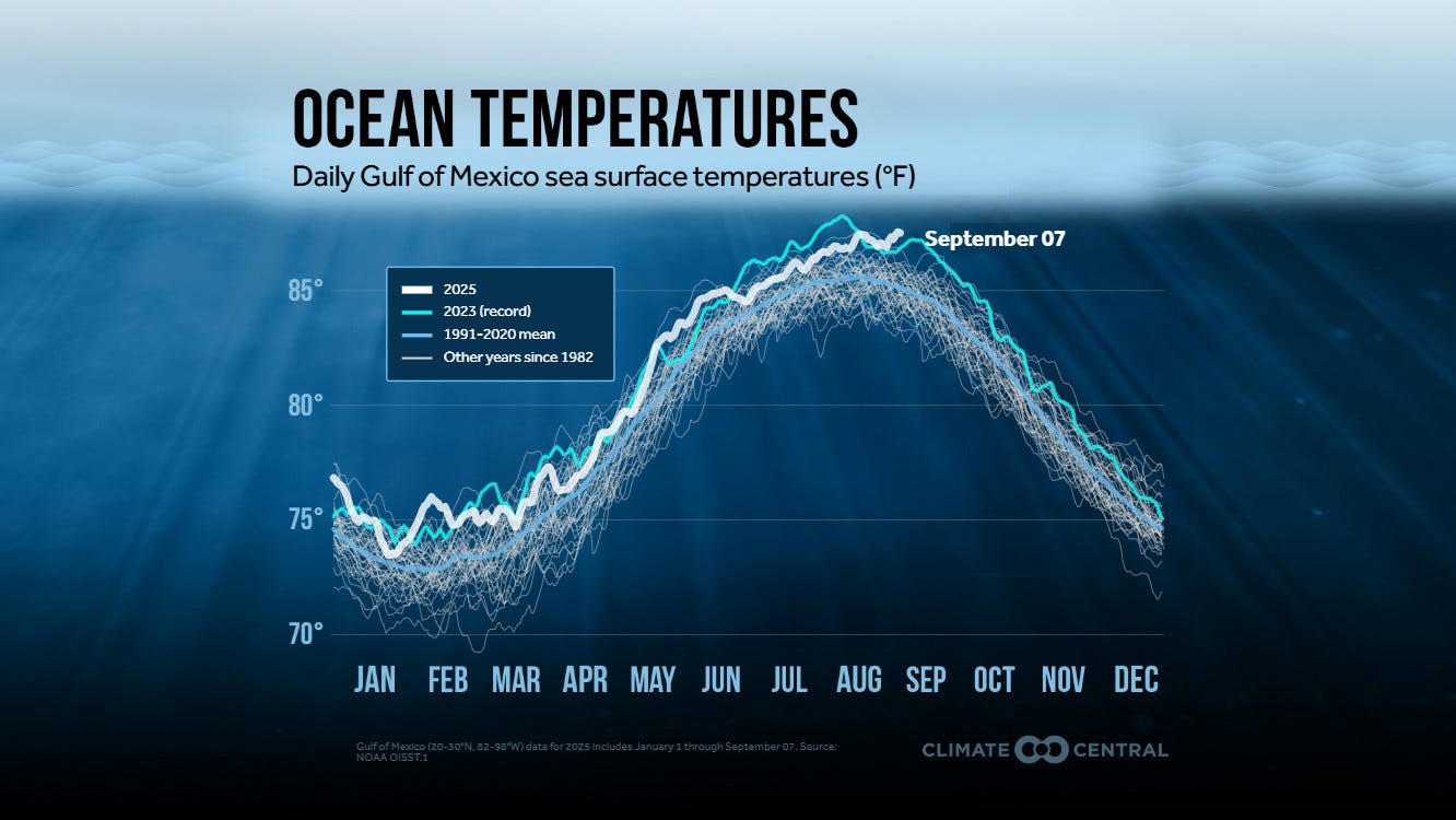 Line graph of Gulf of Mexico daily sea surface temperatures from January to December. The 2025 line (teal) is above all others, showing record-breaking warmth. The 2023 record (light blue) and 1991–2020 mean (gray) are also shown. By September 7, 2025, sea surface temps are the hottest on record for this time of year, reaching above 85°F.