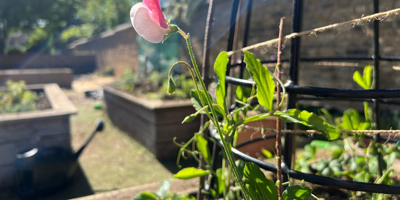 NOTES from. the garden / / structure