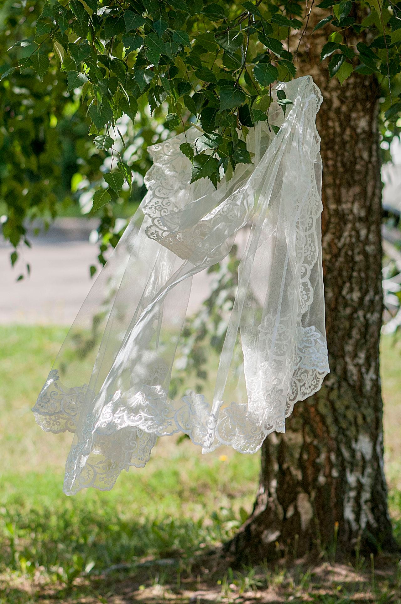 Bride Veil Bride Veil