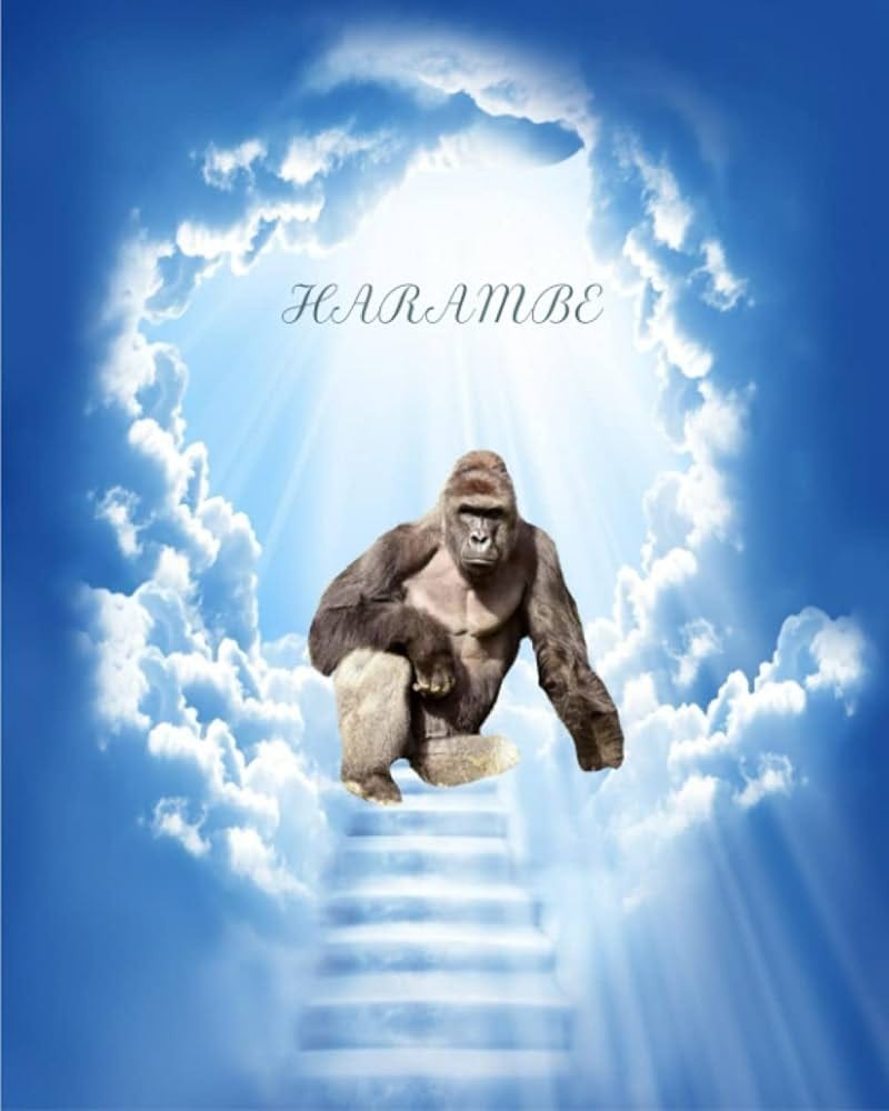 Amazon.com: Harambe Notebook 8" x 10": 9798527247626: Sowders Jr, Stephen: Books Amazon.com: Harambe Notebook 8" x 10": 9798527247626: Sowders Jr, Stephen: Books