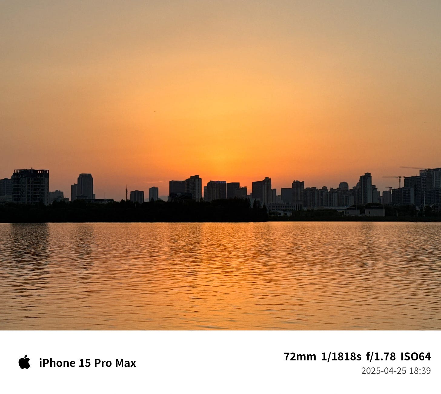 未曾踏足的小径 - 第4张图片