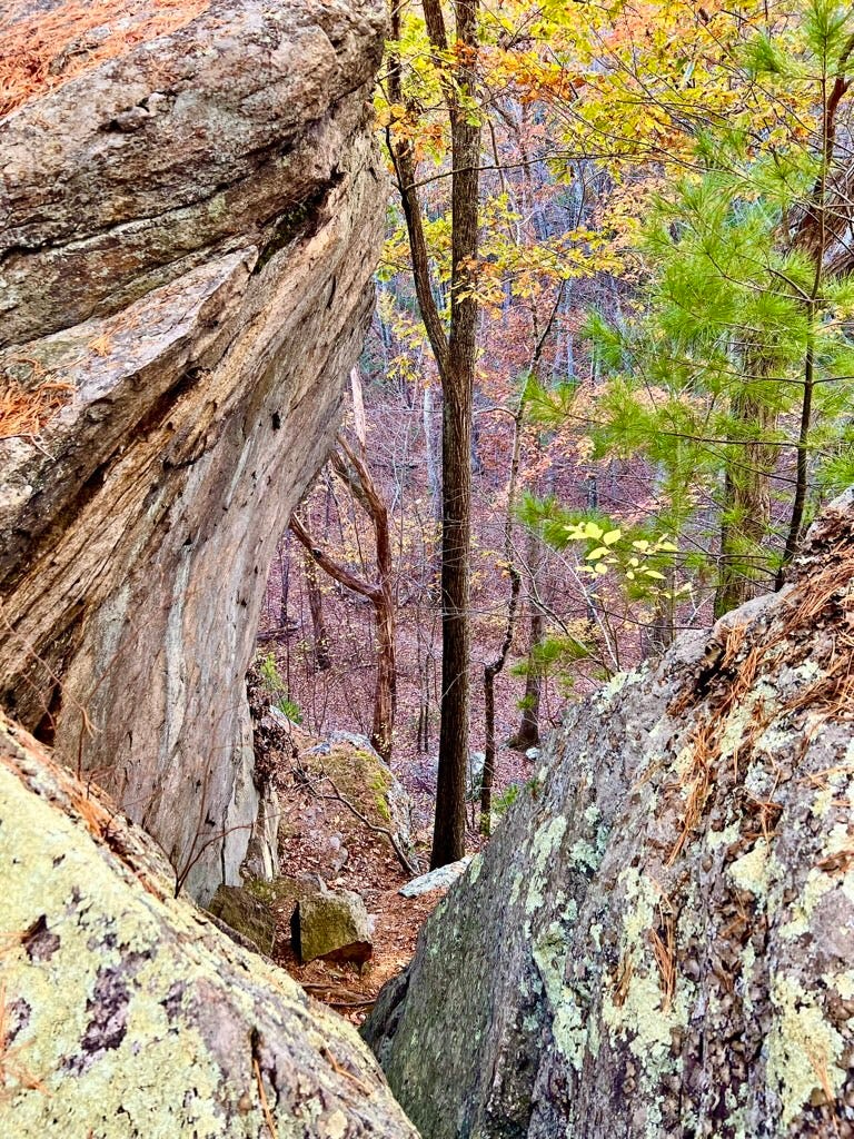 Narrow passageway between lichen-covered boulders at Snake Den Canyon in Rhode Island, looking down a wooded slope of autumn trees and rocky terrain — a quiet, hidden trail evoking mystery, seclusion, and natural stillness.