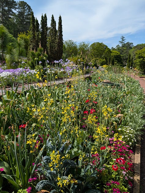 Sarah P Duke Gardens Duke University