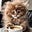 Lily Baldwin's avatar