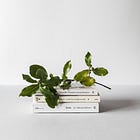 ✍️ Diary of an Author: How to Outline Your Book