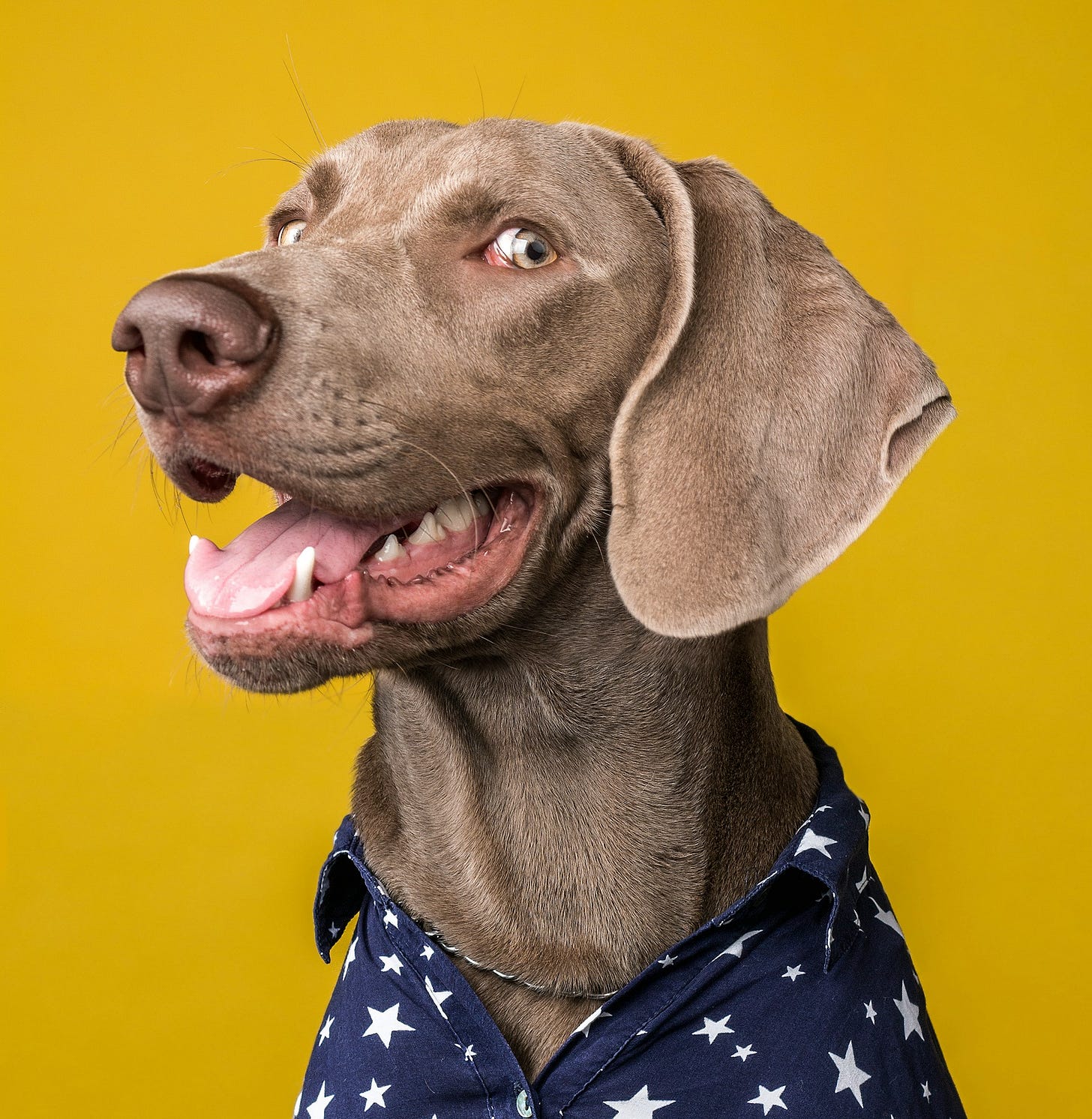 âlyft Digital Marketing - Roseburg, Oregon âlyft Digital Marketing - Roseburg, Oregon