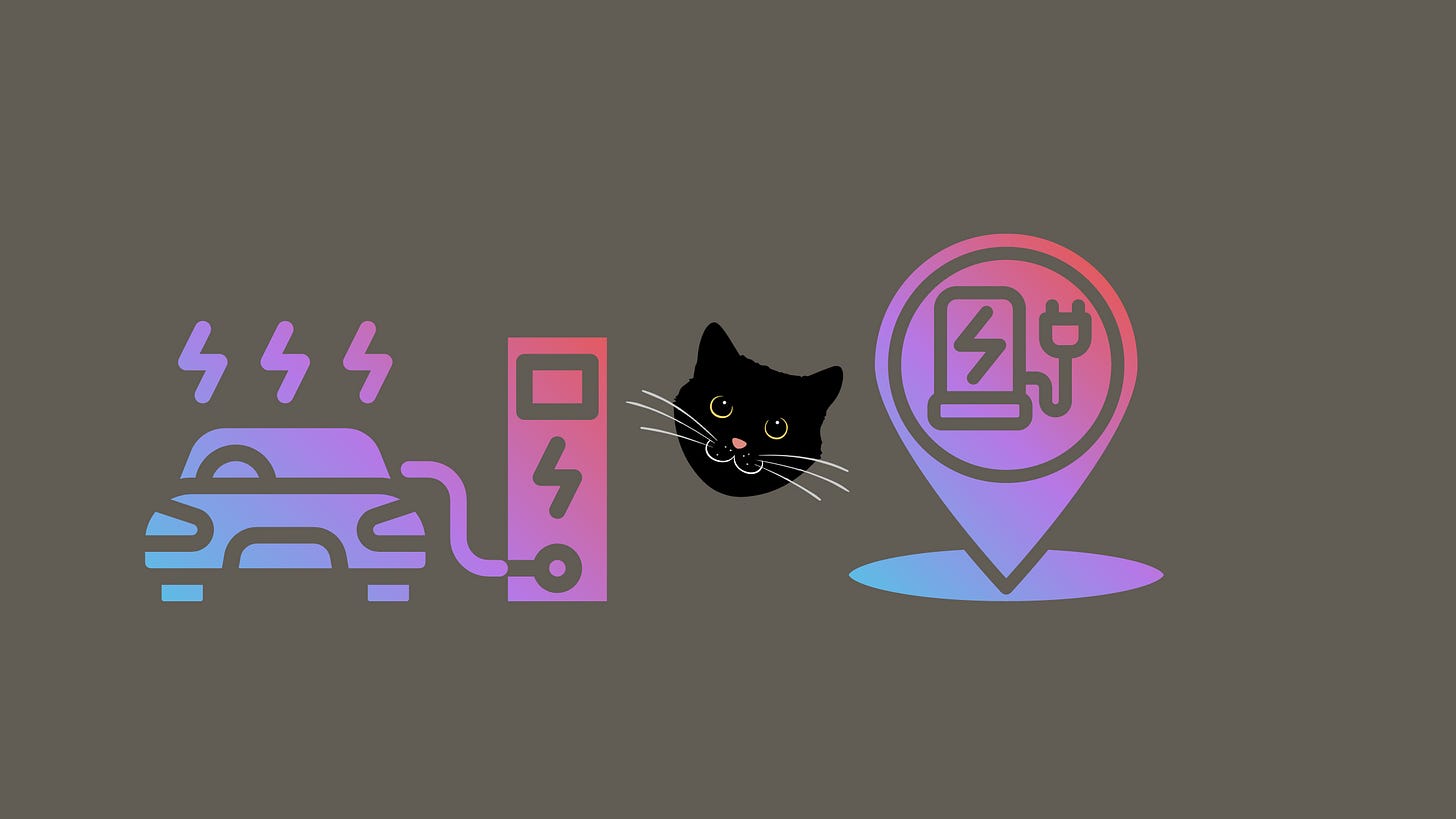 Image of EV, charging station and cat face Image of EV, charging station and cat face