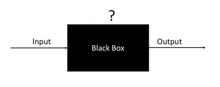 The black box and econometrics. – MSR Economic Perspectives