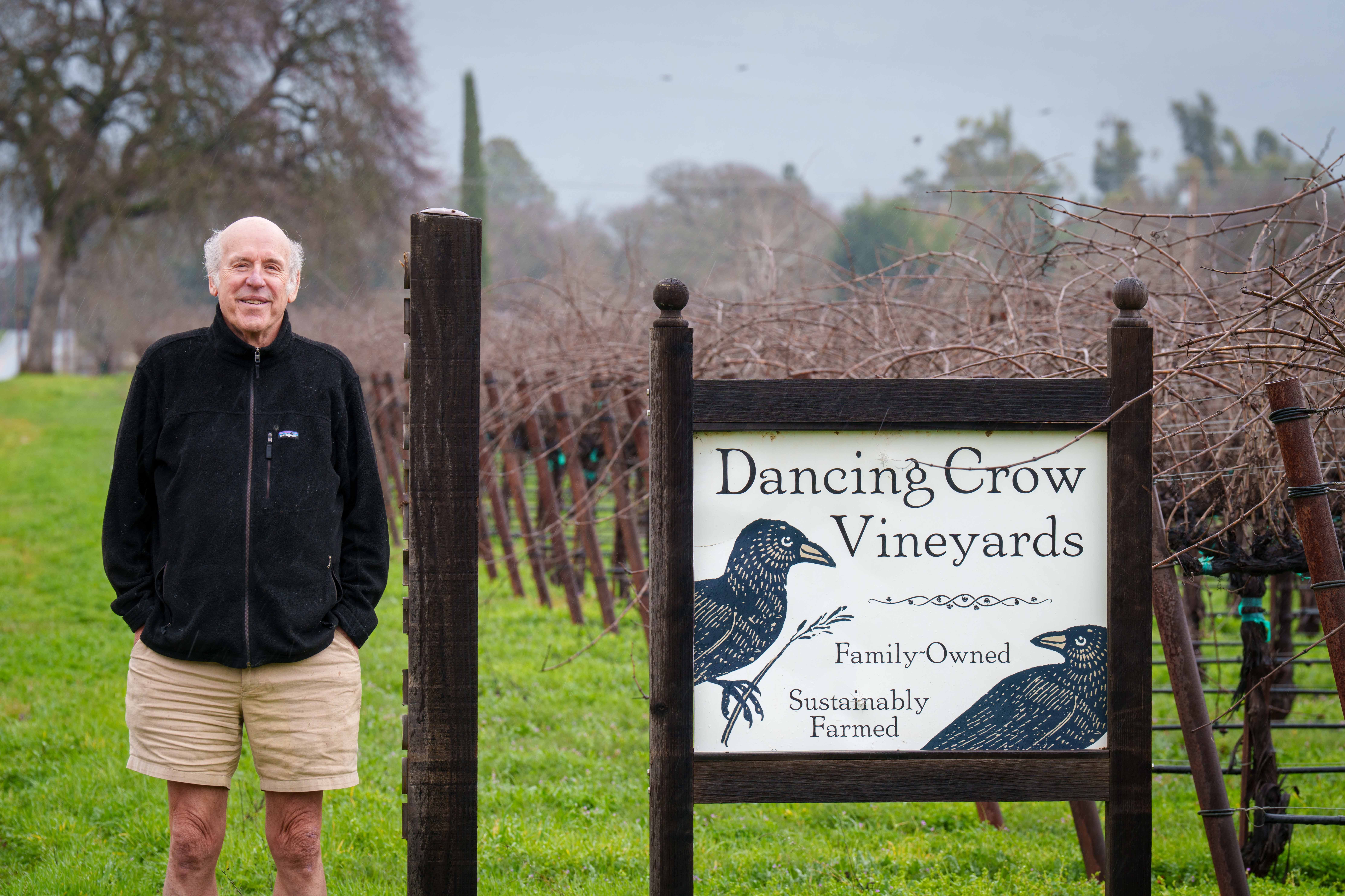 napavalleyfocus.substack.com - Wine Chronicles: Dancing Crow - Engineering Fluidity in a Destabilized Wine Market