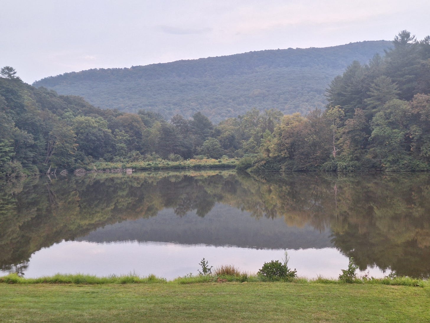 A calm pond reflecting tree-covered hills beneath a soft, overcast sky.