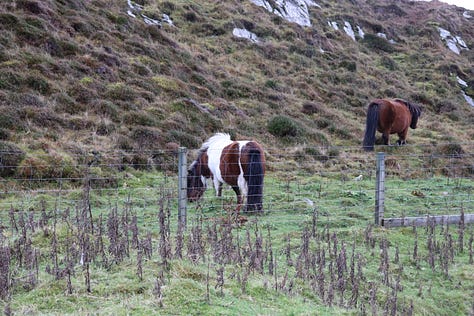 Shetland travels