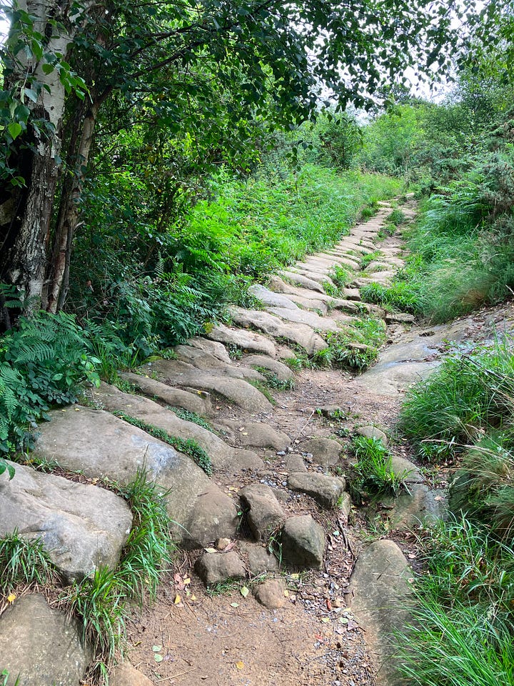 photographs of dirt and flagstone paths through green foliage