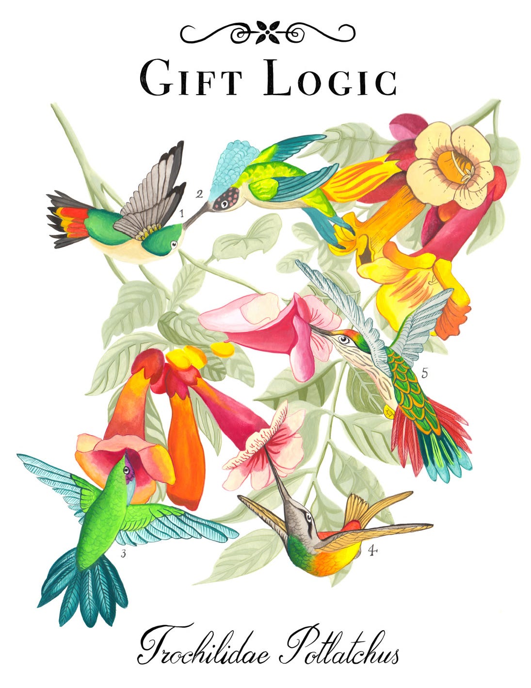 Image description: Hummingbirds connect around the exchange of nectar from flowers. 
