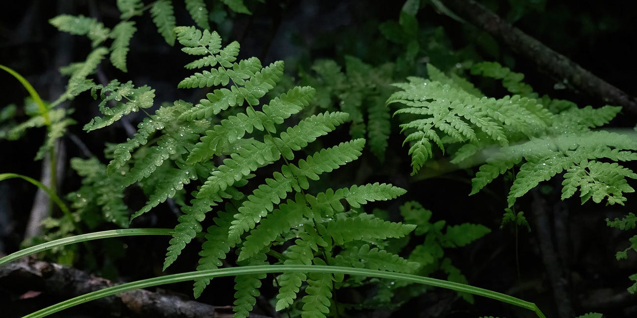 In Green Company