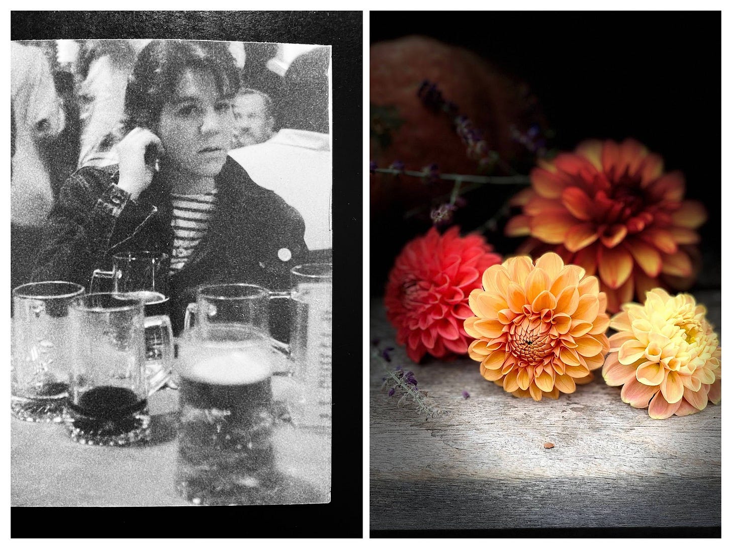 Drinking days in New York; dahlias today
