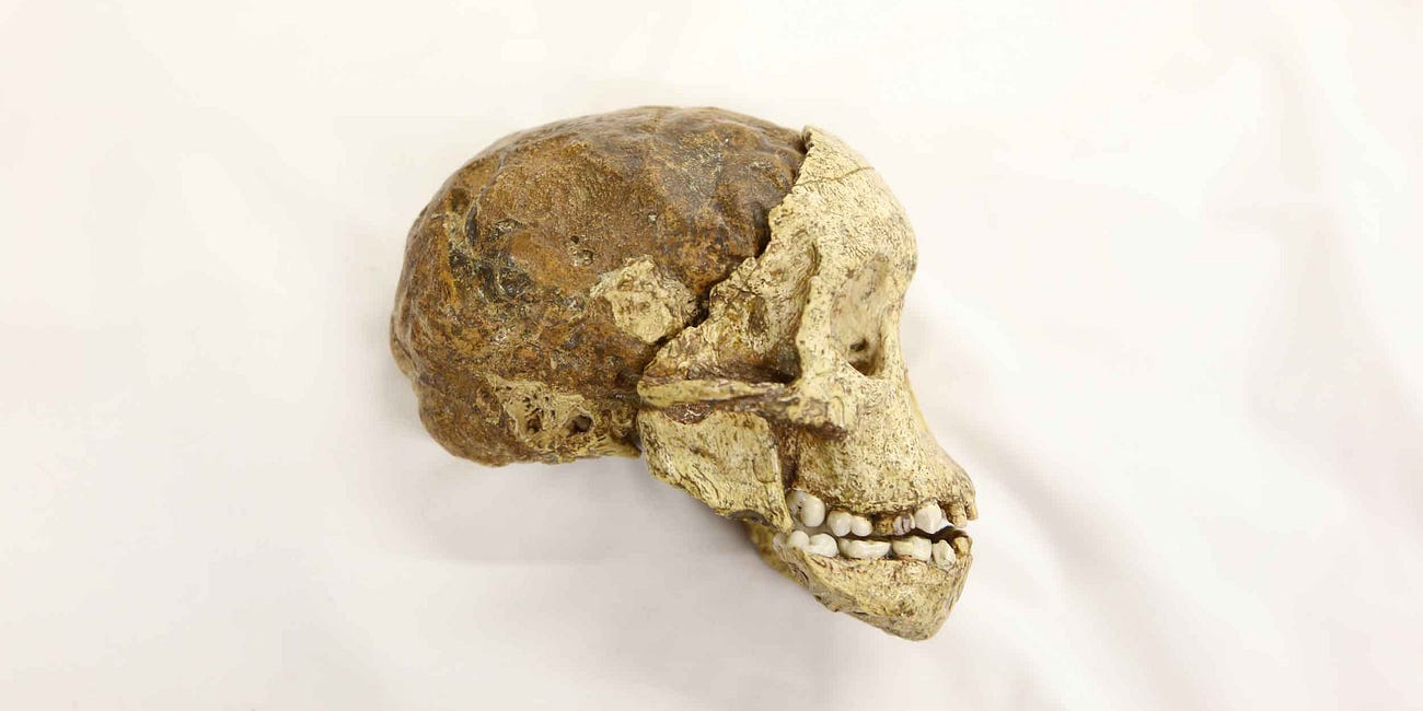 The circumstances of the Taung discovery