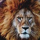 Courage, Bravery & Parrhesia