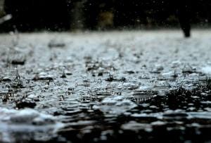 rain drops rain drops