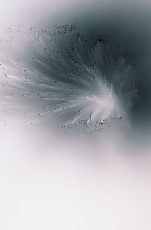 Wolfgang Tillmans, Blushes #59, 2000. (With images) | Wolfgang ... Wolfgang Tillmans, Blushes #59, 2000. (With images) | Wolfgang ...