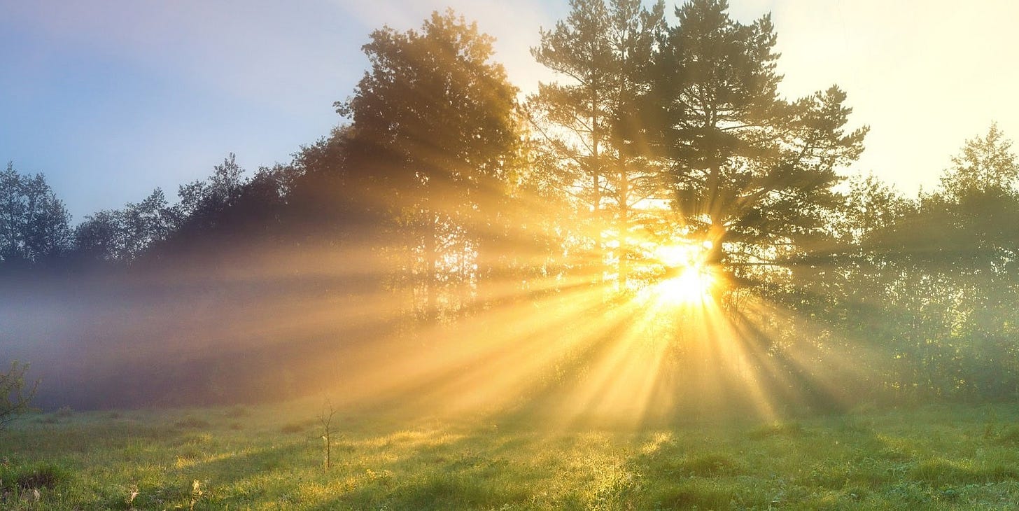 Getting morning sunlight can improve sleep quality, study suggests