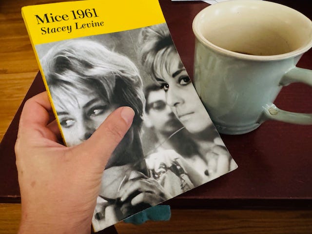 If You're Up for Talking about MICE 1961 