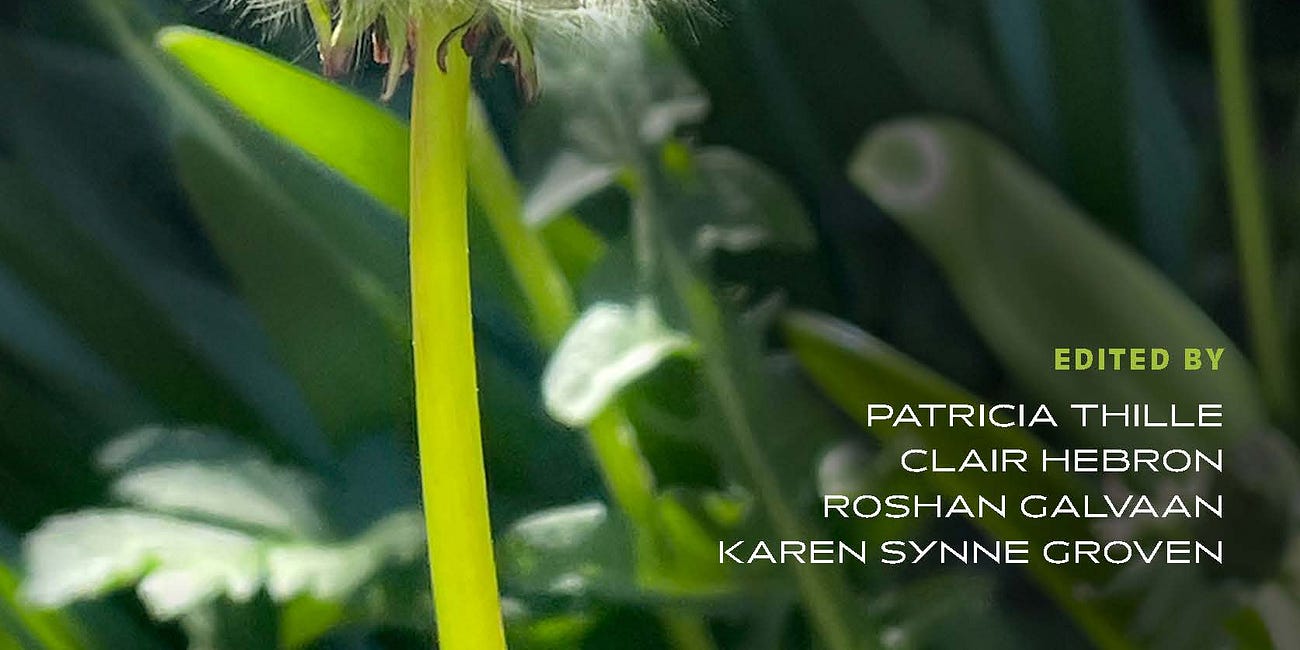 Reminder: Book chapter discussion with Dr. Clair Hebron, Thurs, Oct 23rd, 7 pm (GMT+1)