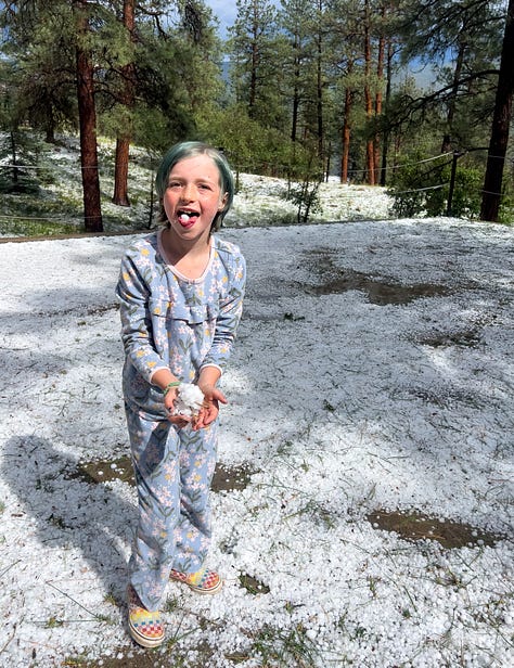 Scenes from a recent hailstorm near Durango. Photos: Mitch Tobin.