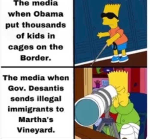 media obama kids cages border desantis marthas vineyard bart simpson blind