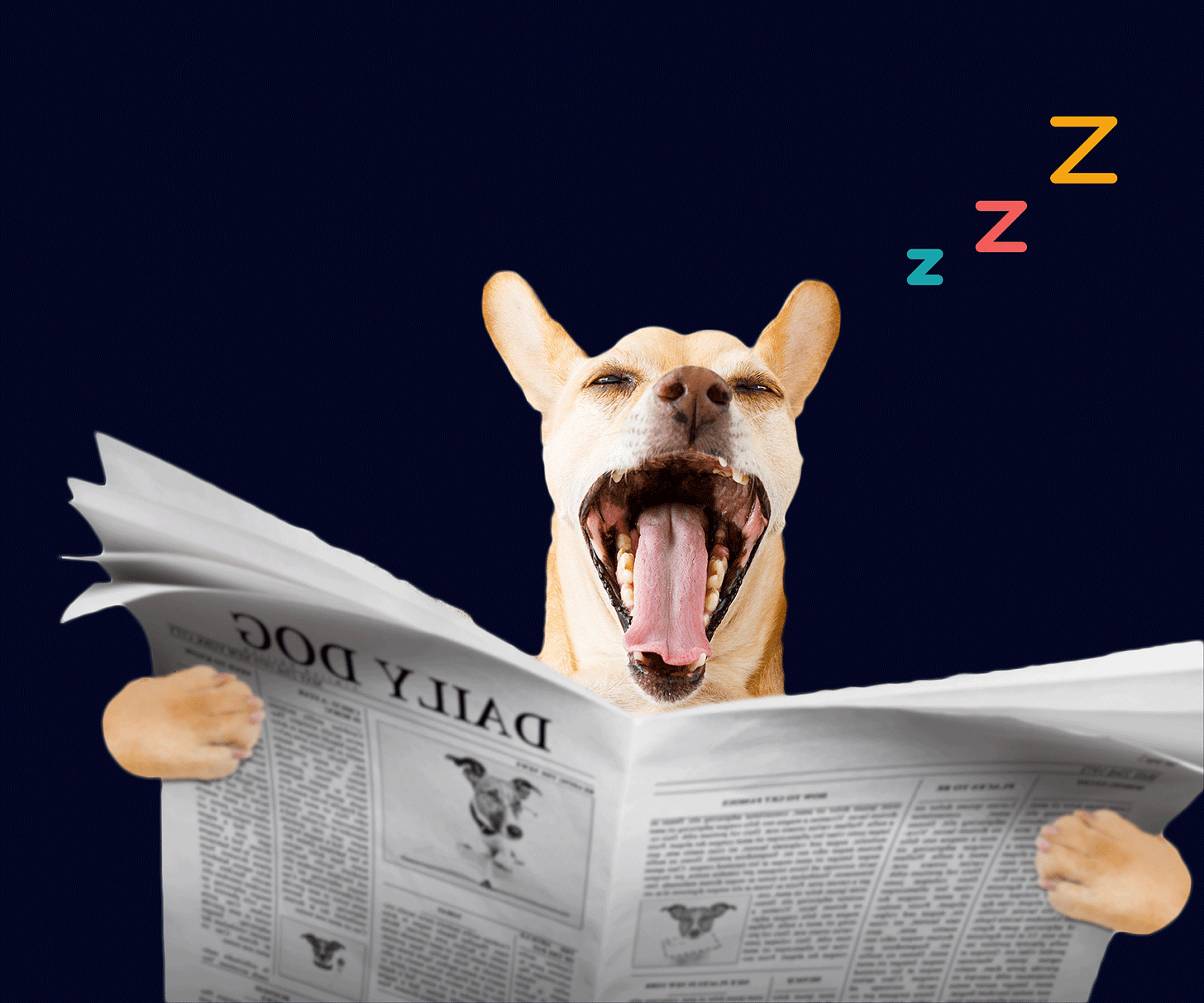 Dog reading a newspaper