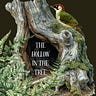 The Hollow In The Tree