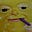 Tyler Kneidl's avatar