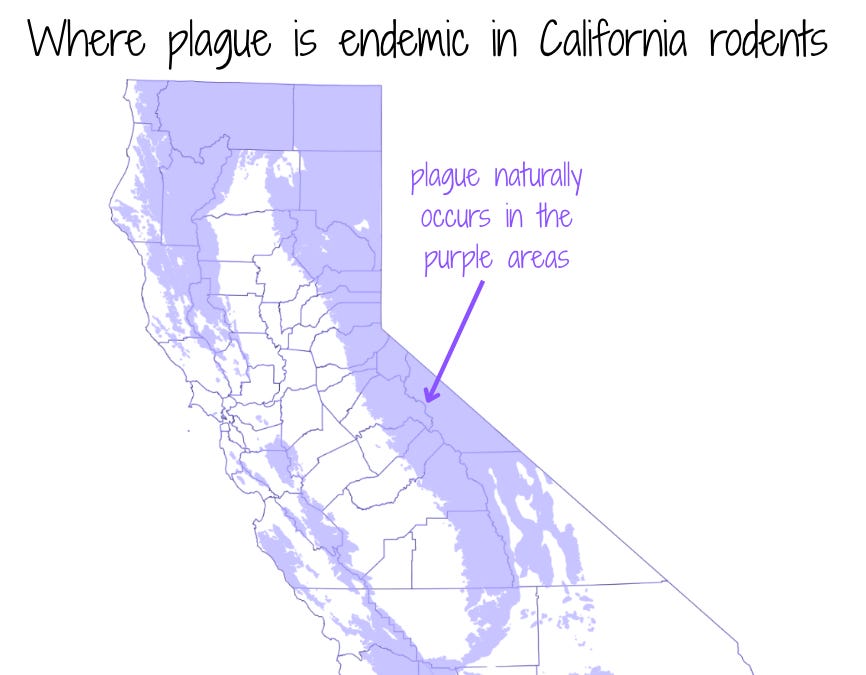 Covid, flu, West Nile virus, and plague - Substack