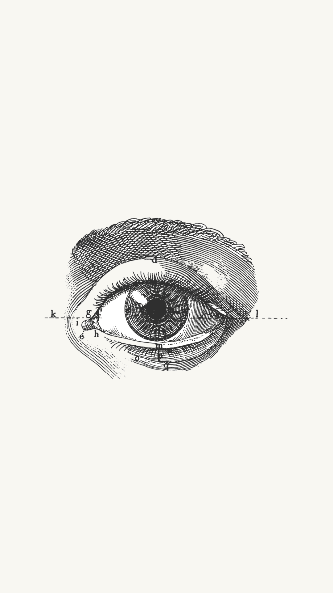 Vintage anatomical illustration of a human eye with detailed cross-hatching and labeled parts, featuring an orange-colored iris against a cream background