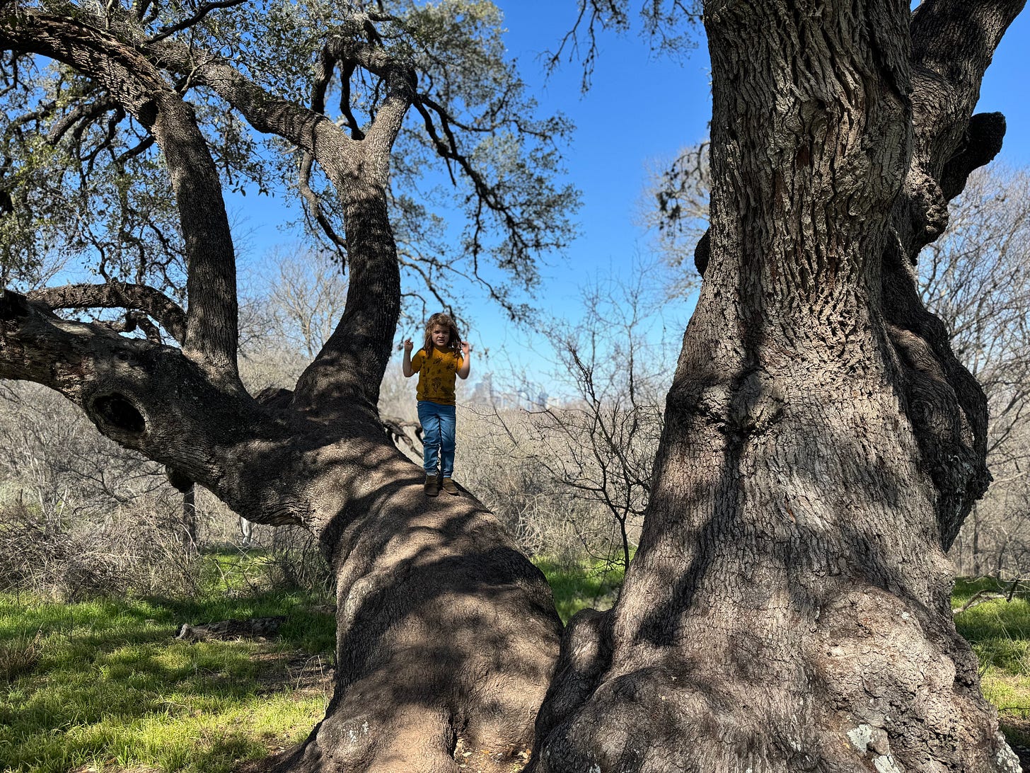 Girl in oak tree