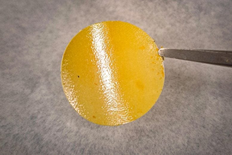 Crude Oil Membrane Filter