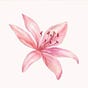 الـمريـٰم 🌸's avatar
