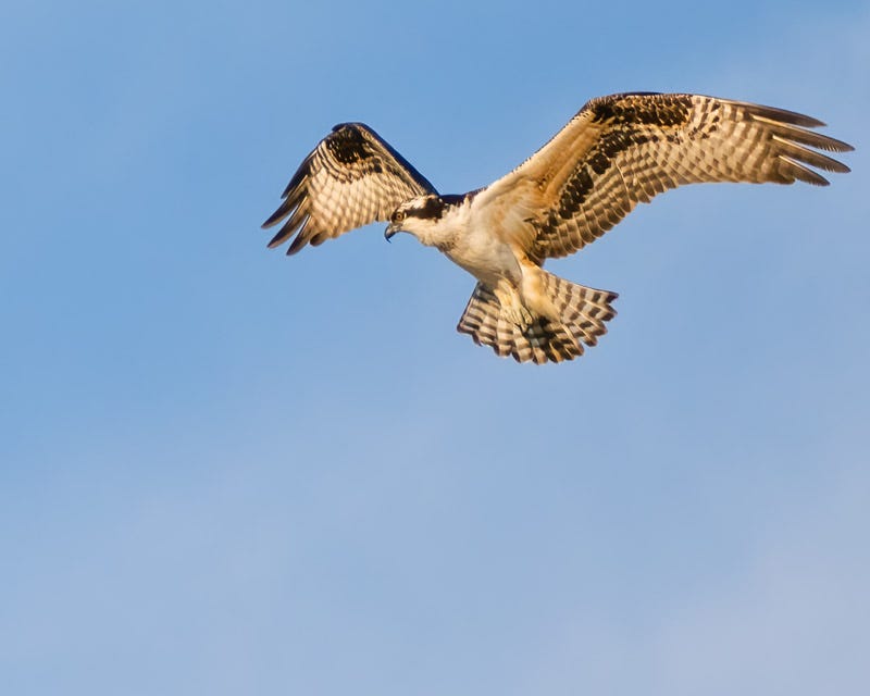 20261020-scf-238-Edit.jpg 20261020-scf-238-Edit.jpg