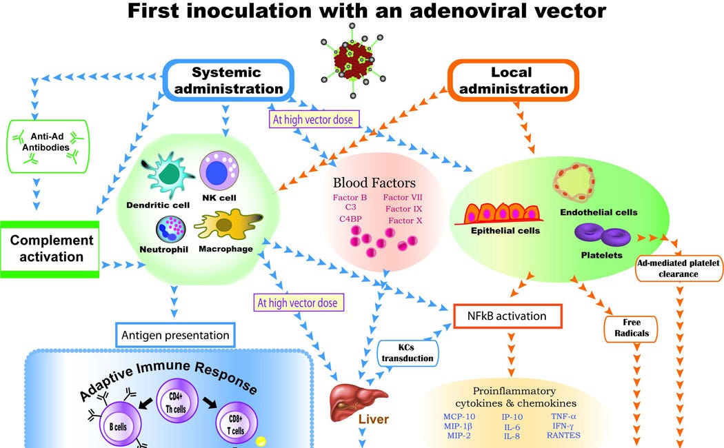 AstraZeneca Endotoxin Test Meaningless